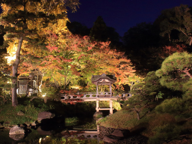 横浜・三溪園　紅葉のライトアップ